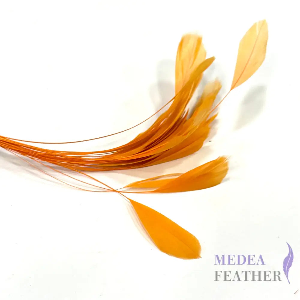 14cm Small Round Tips Coque Feather-Pack of 10 Light Orange