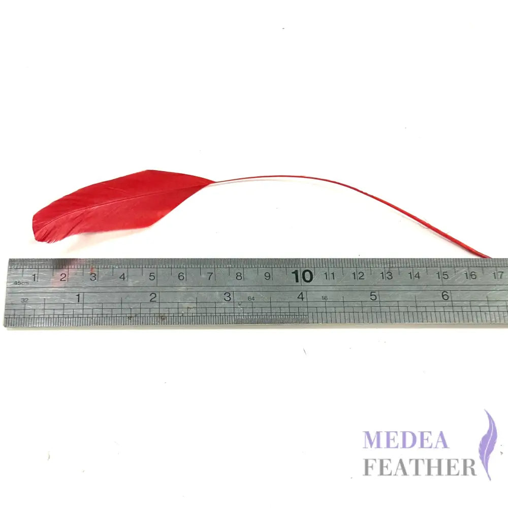 15cm Stripped Coque Feathers - Pack of 10