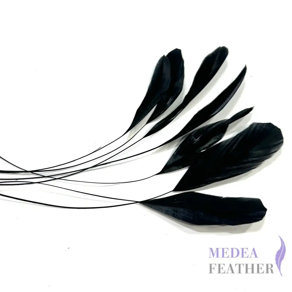 15cm Stripped Coque Feathers - Pack of 10 Black
