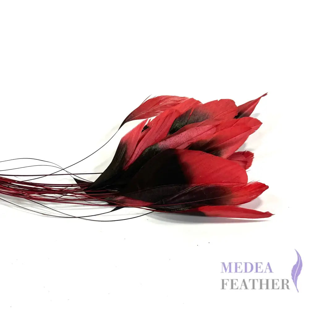 20cm Gradient Dyed Coque Feather - Pack of 5 #23 tango red