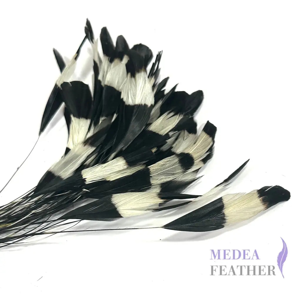 20cm Gradient Dyed Coque Feather - Pack of 5