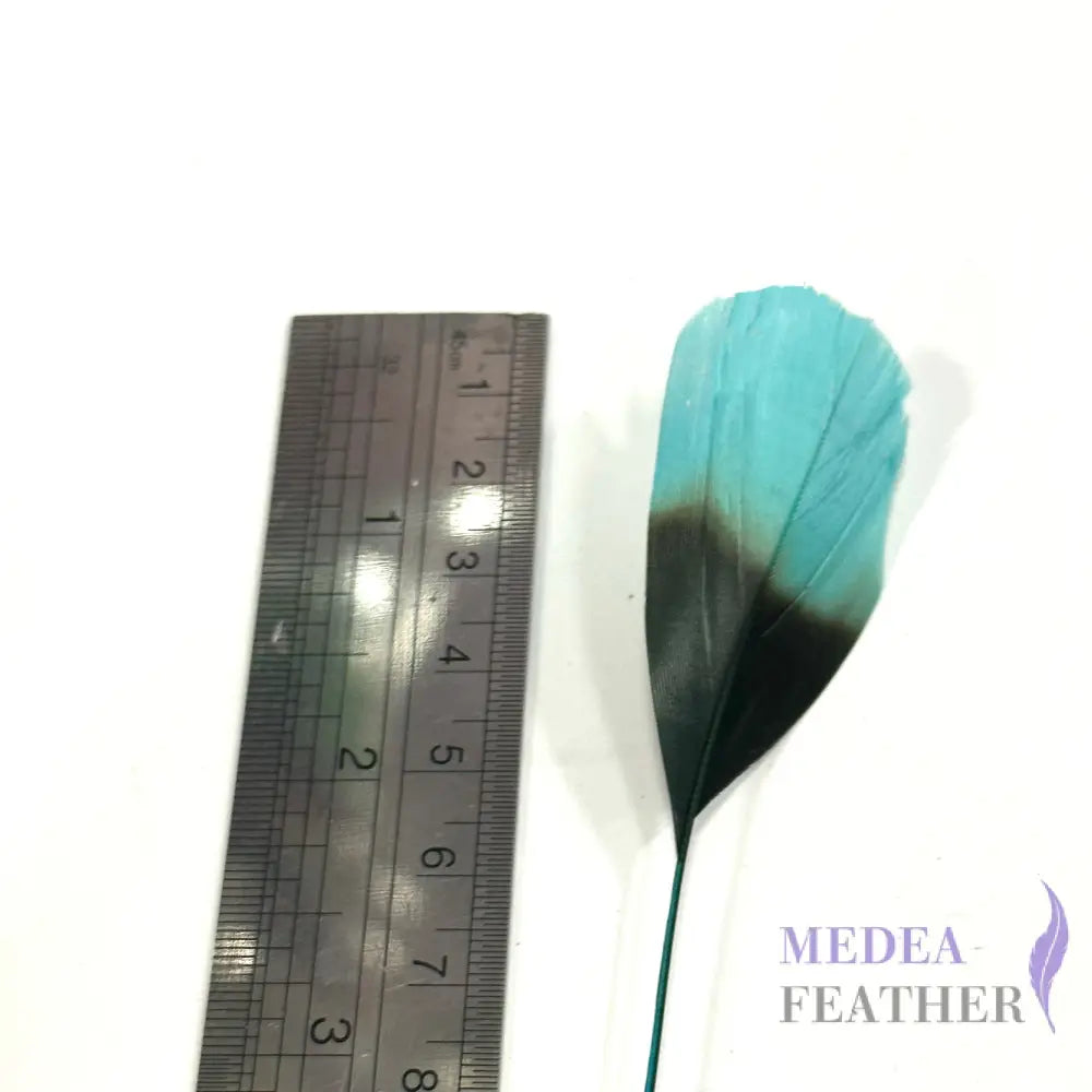 20cm Gradient Dyed Coque Feather - Pack of 5