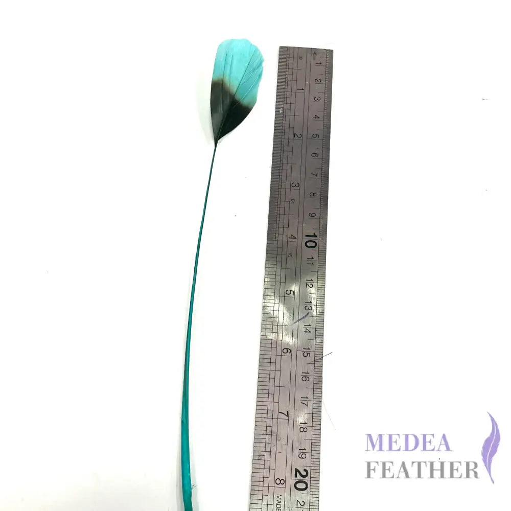 20cm Gradient Dyed Coque Feather - Pack of 5