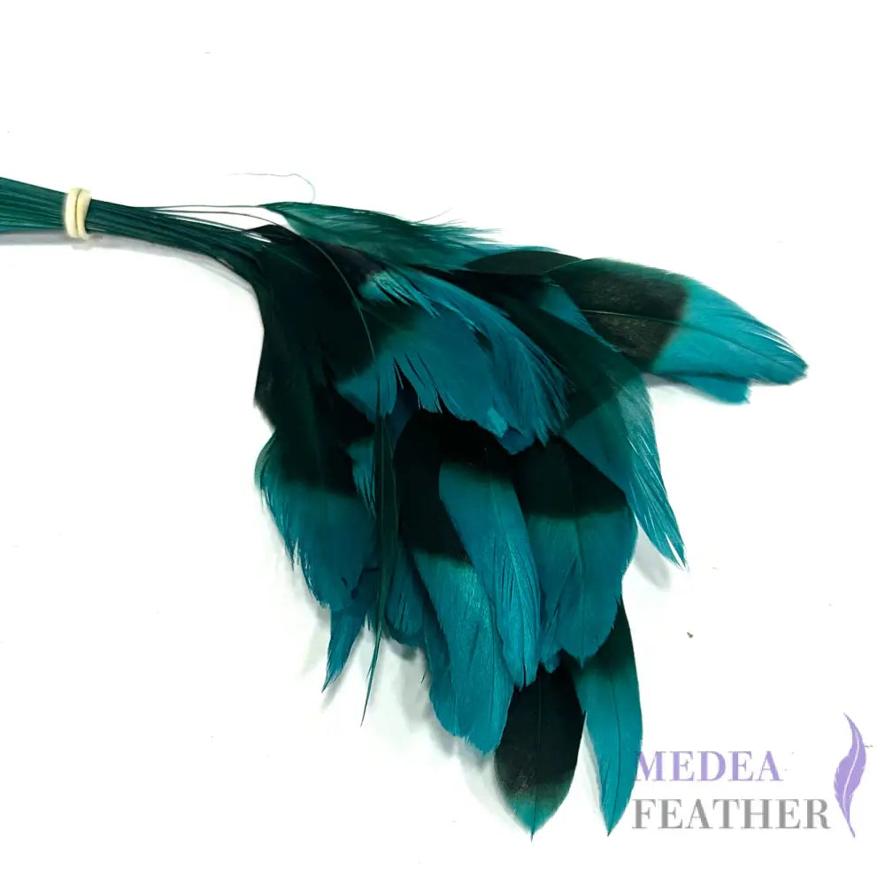 20cm Gradient Dyed Coque Feather - Pack of 5 #82 teal