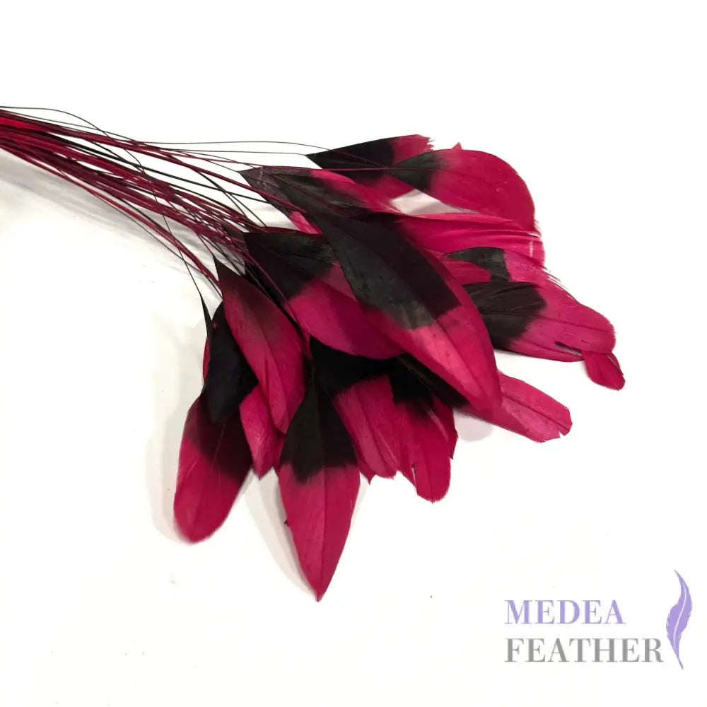 20cm Gradient Dyed Coque Feather - Pack of 5 Dark Red
