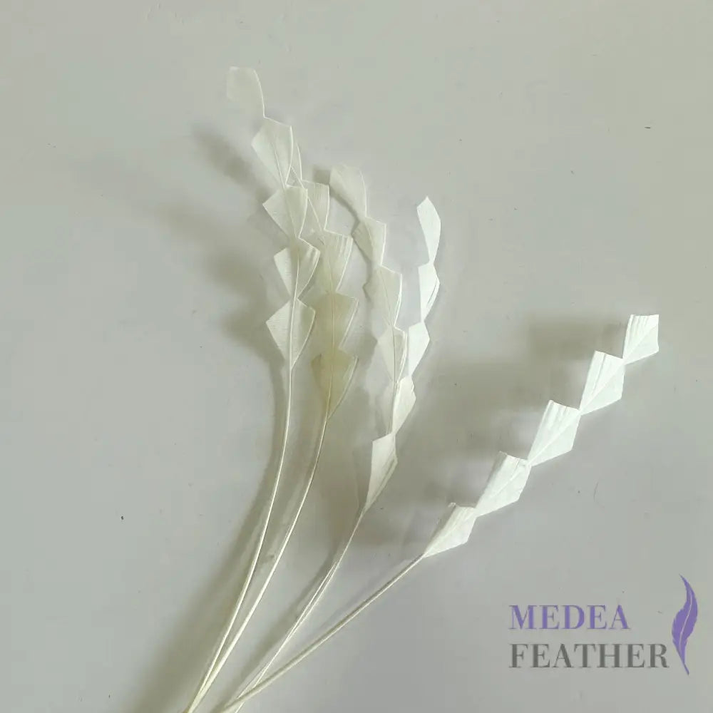 20cm Zig Zag Coque Feathers-Pack of 10 #01 Ivory