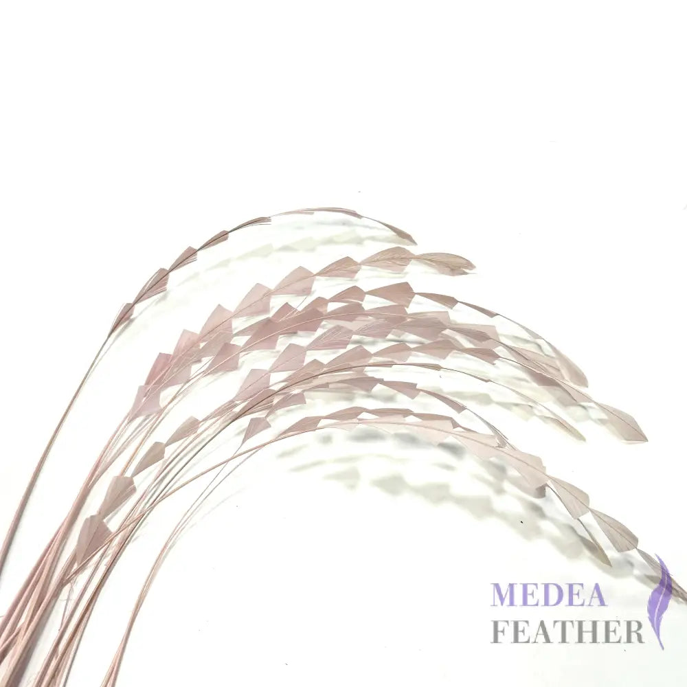 20cm Zig Zag Coque Feathers-Pack of 10