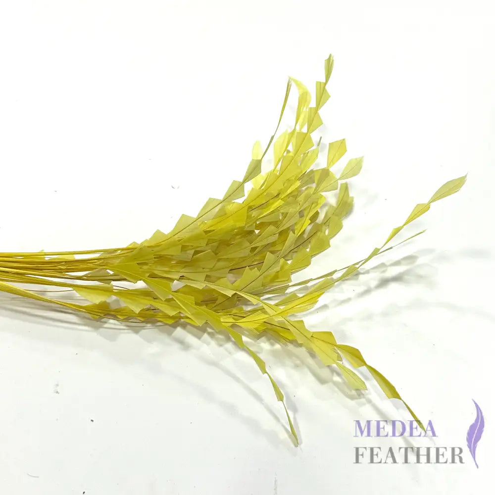 20cm Zig Zag Coque Feathers-Pack of 10 #57 cress green