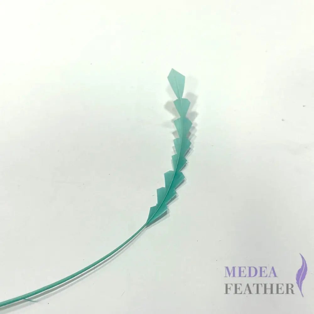 20cm Zig Zag Coque Feathers-Pack of 10