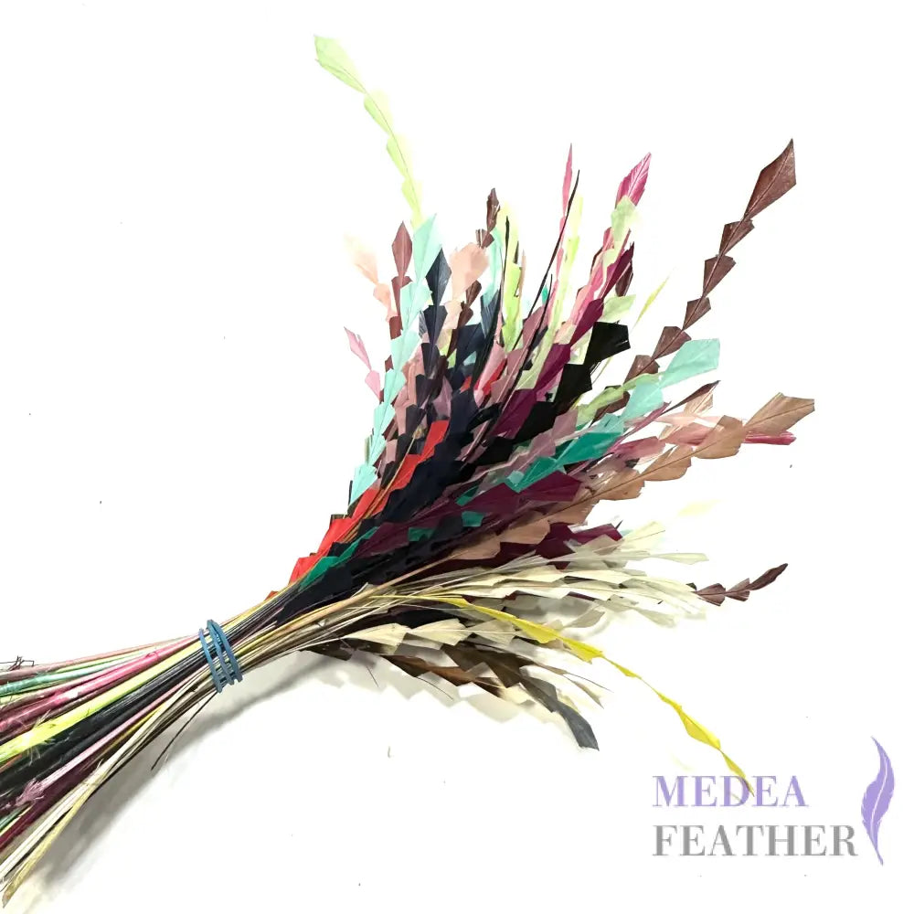 20cm Zig Zag Coque Feathers-Pack of 10 Assorted