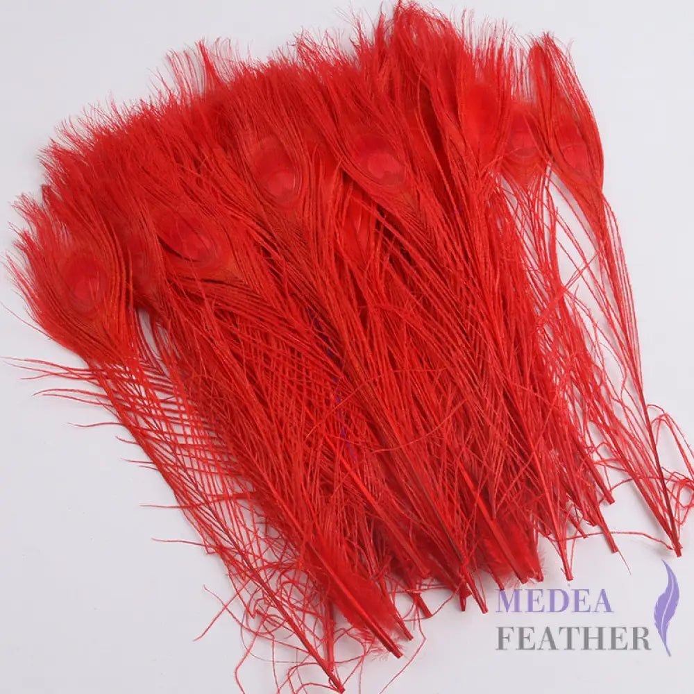 25cm Dyed Peacock Eye Feather Red / Pack of 5