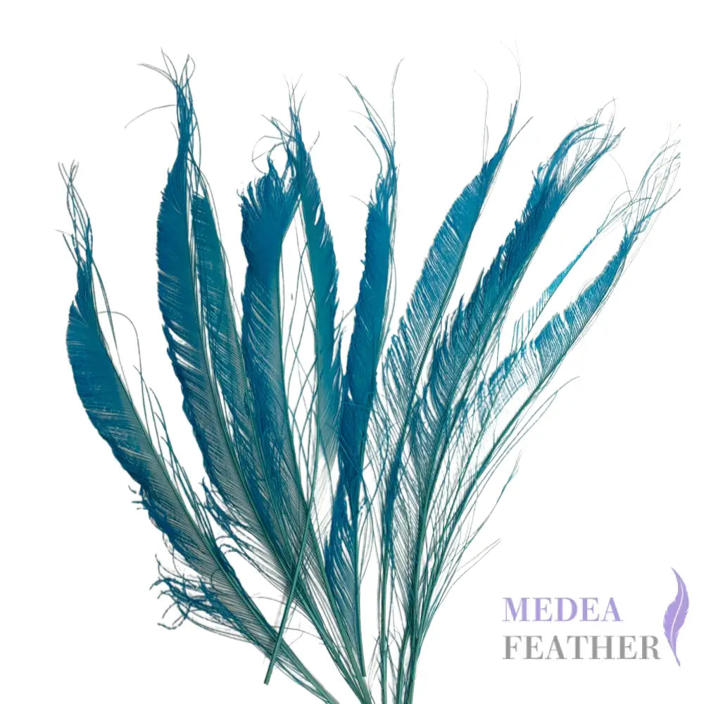 25cm Multiple Colour Peacock Sword Feather #82 teal