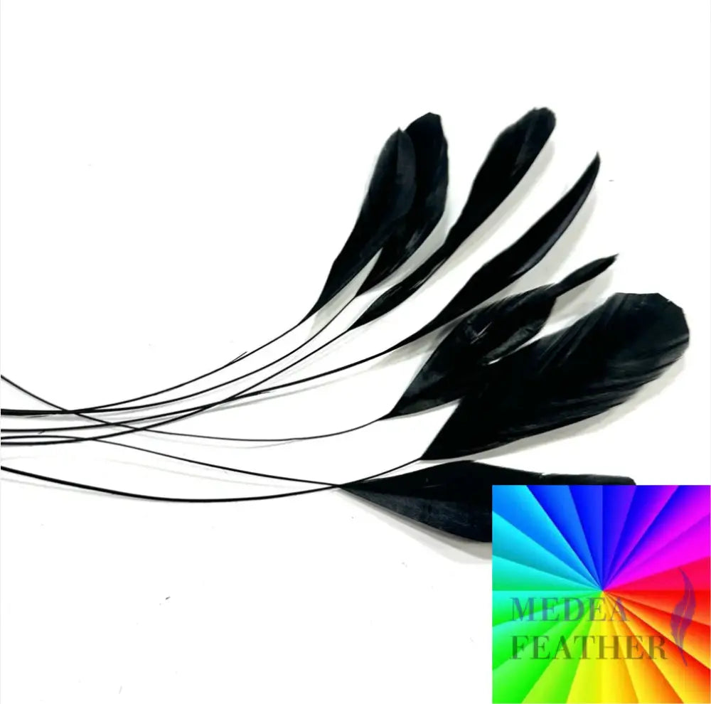 25cm Stripped Coque Feathers - Pack of 10 Custom-Please add text below