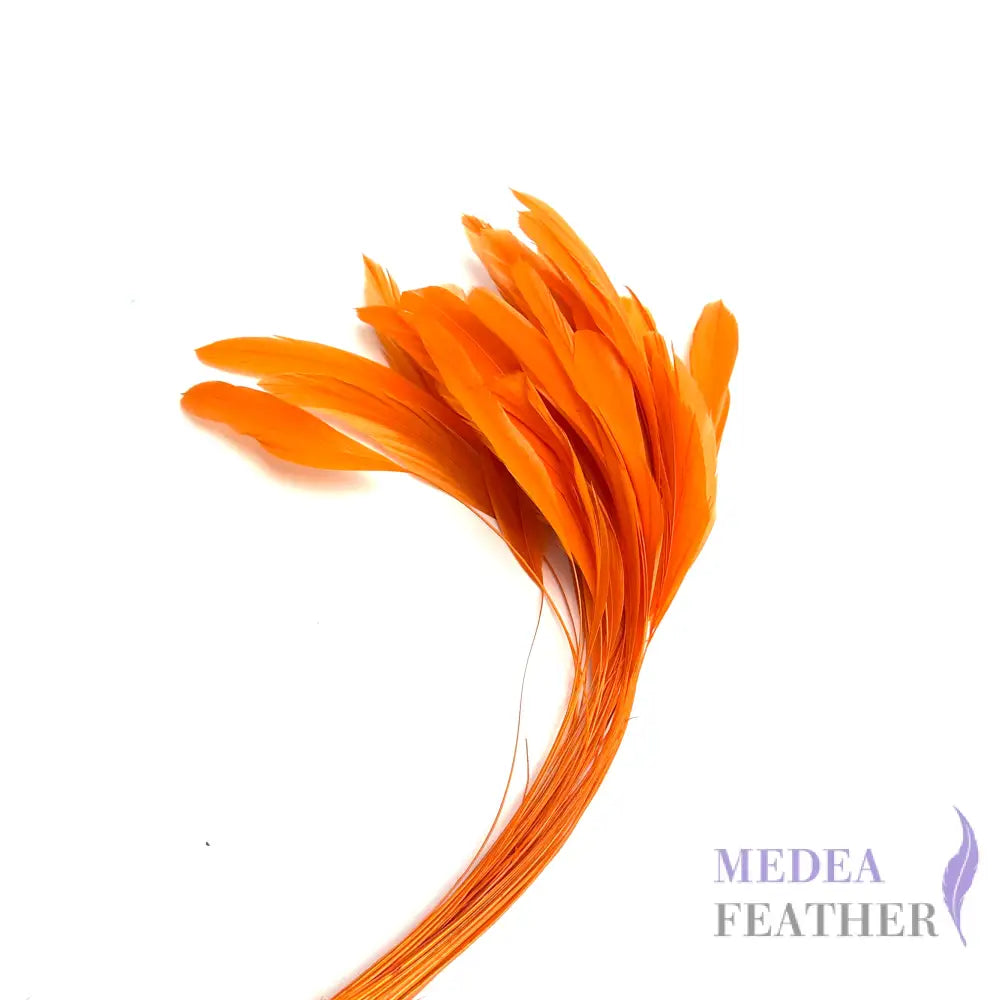 25cm Stripped Coque Feathers Pack of 10 Custom Please add text below