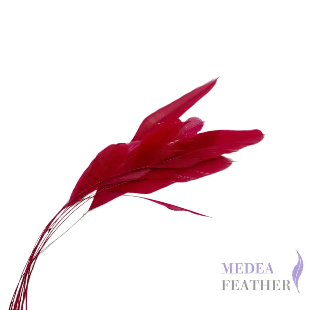 25cm Stripped Coque Feathers Pack of 10- SFROOSTER01 - #23 tango red