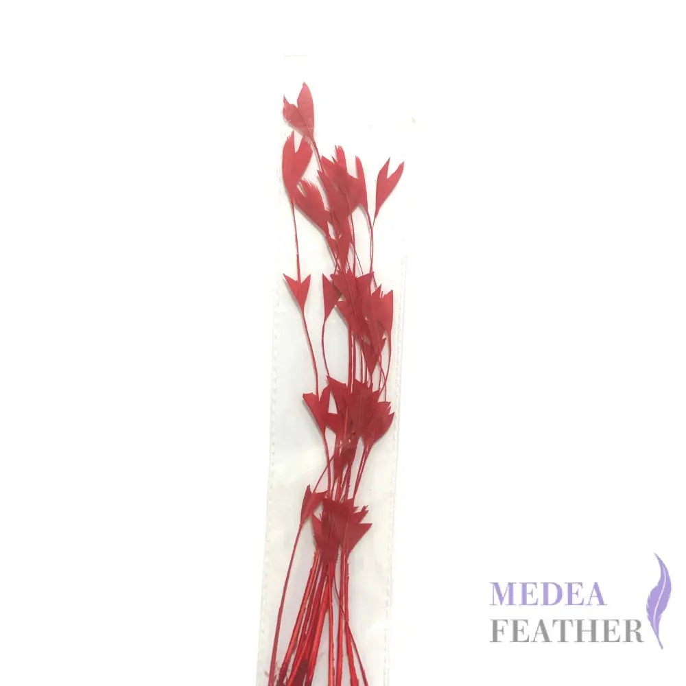 25cm Trimmed Inverted Triangle Tips Coque Feather-Pack of 10 SFROOSTER06 - #22 red
