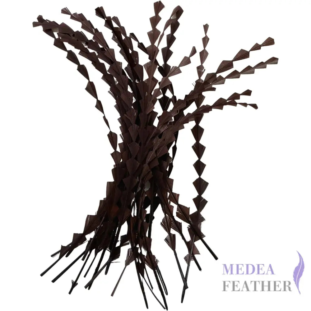 25cm Zigzag Diamond Coque Feather-Pack of 10 SFROOSTER02 - #66 cub