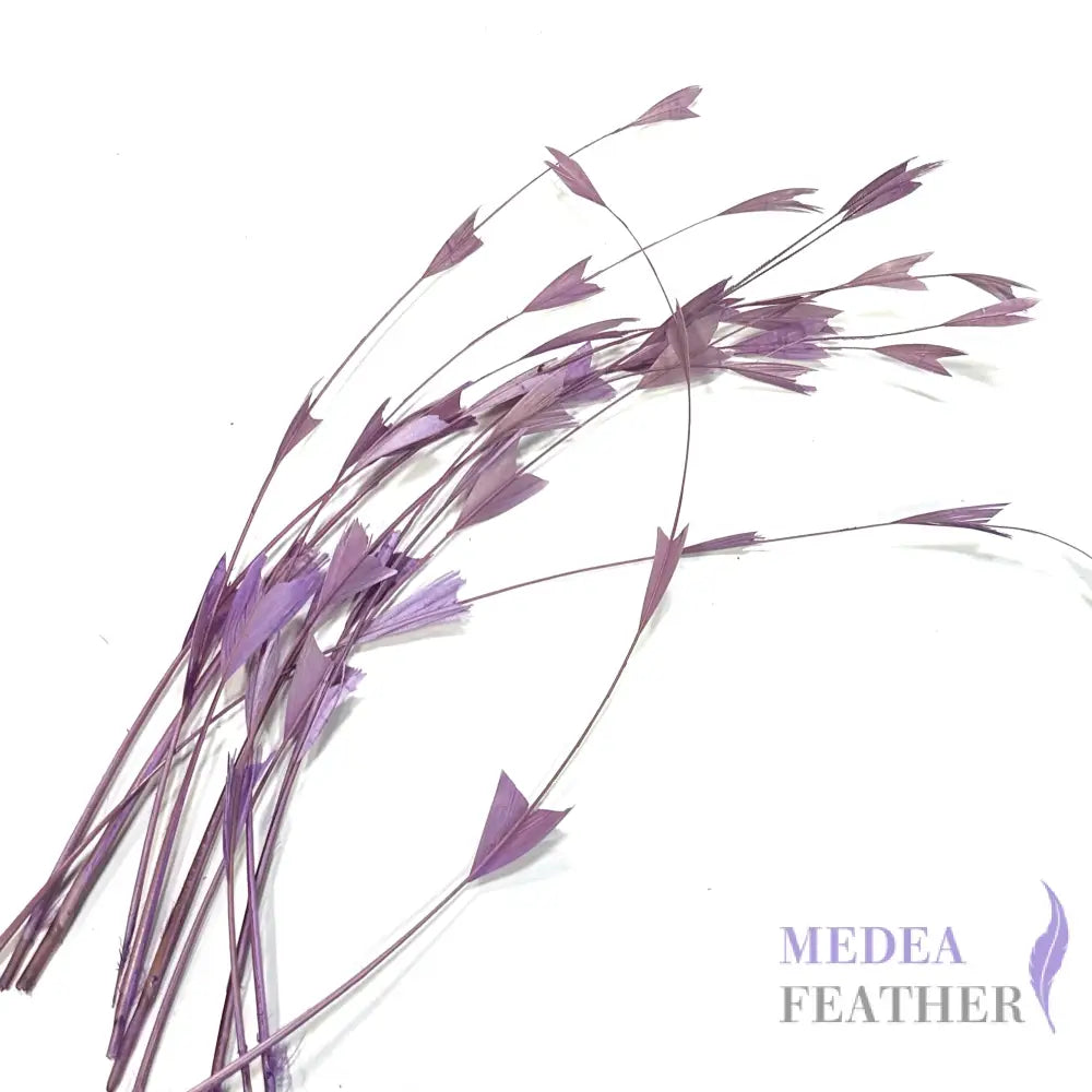 30cm Triangle Tipped Stripped Coque Feather 1 piece