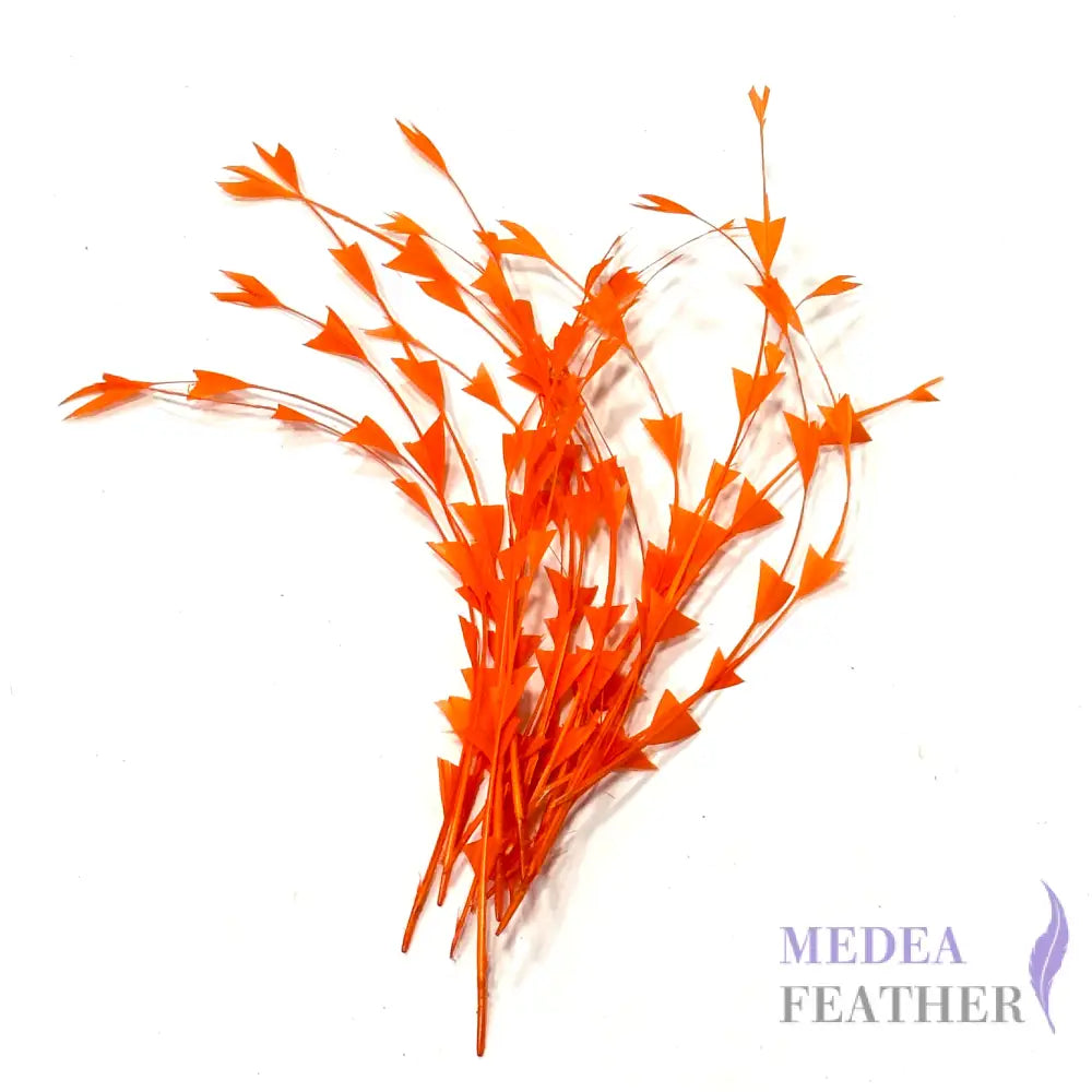 30cm Triangle Tipped Stripped Coque Feather 1 piece