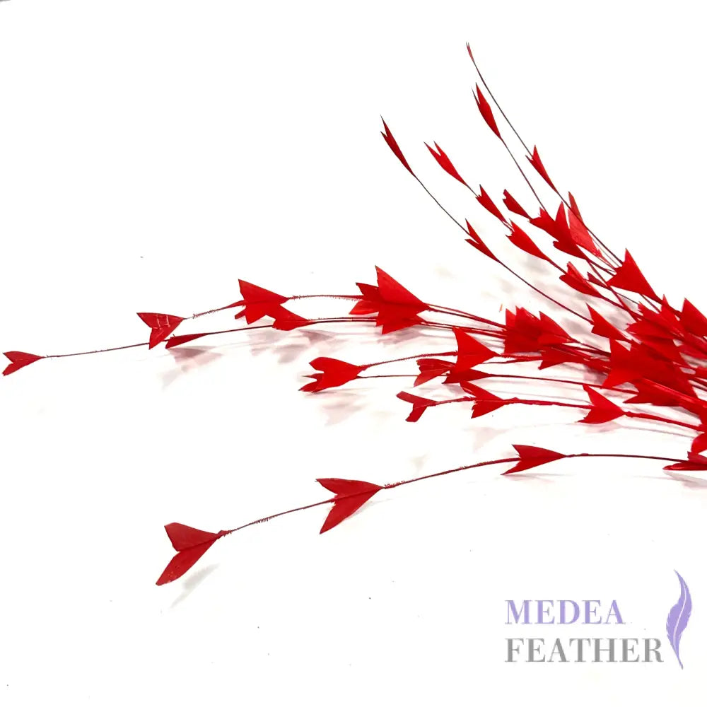 30cm Triangle Tipped Stripped Coque Feather 1 piece