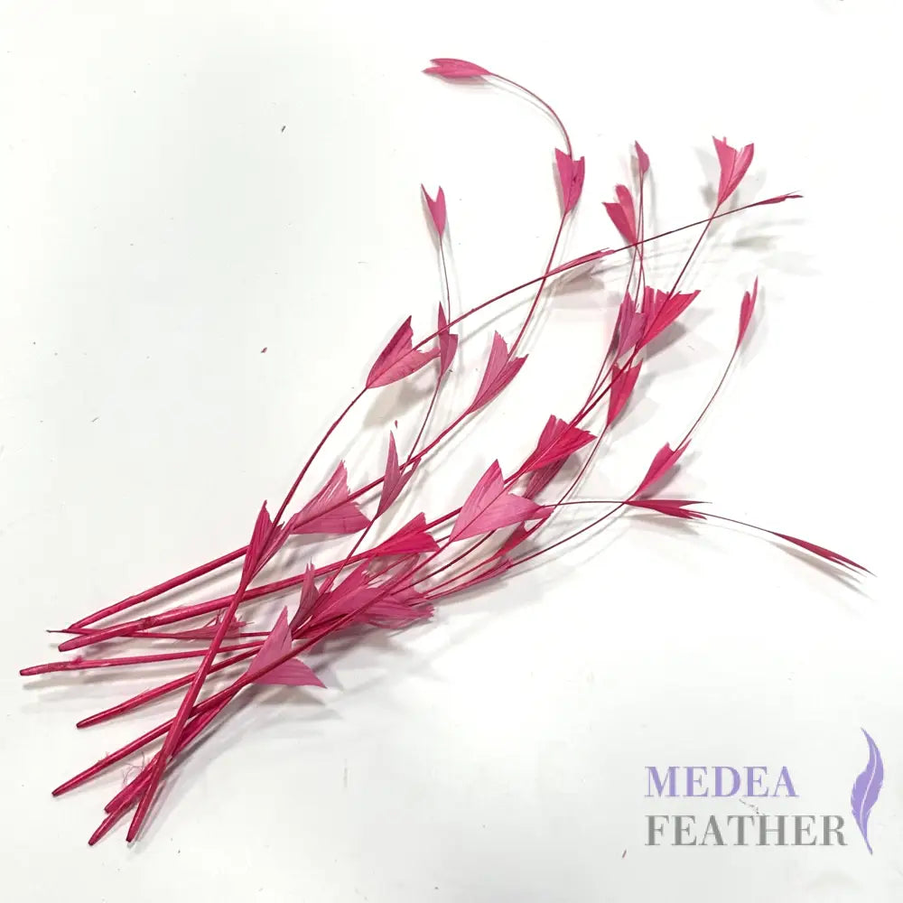 30cm Triangle Tipped Stripped Coque Feather 1 piece