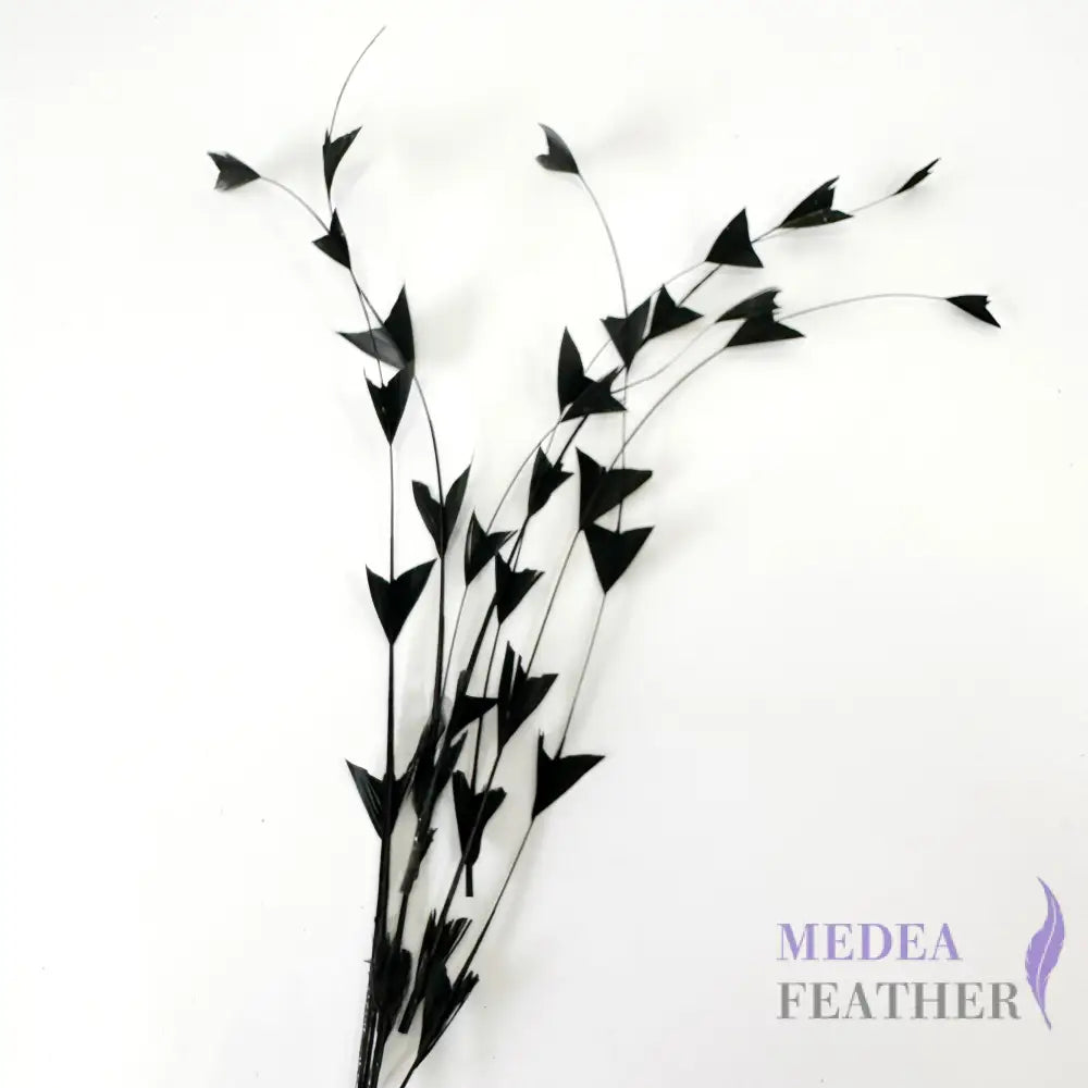 30cm Triangle Tipped Stripped Coque Feather 1 piece