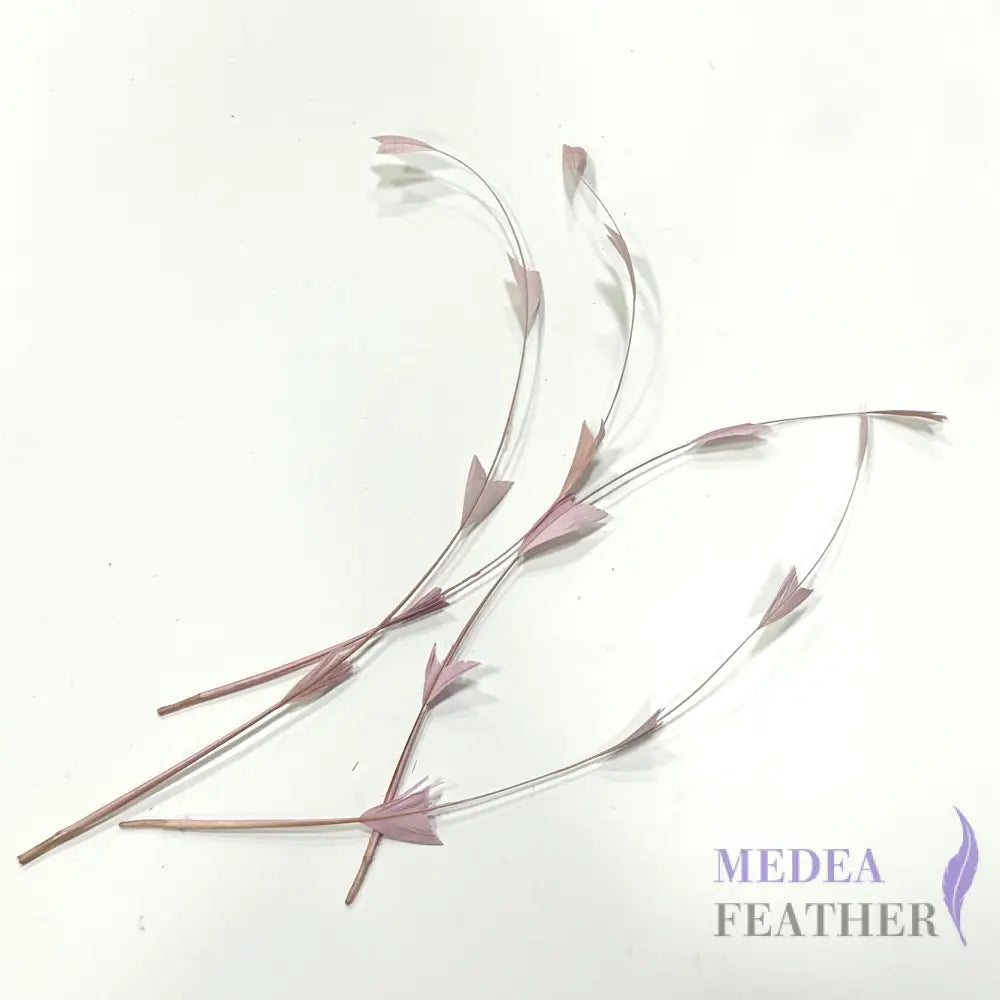 30cm Triangle Tipped Stripped Coque Feather 1 piece Light pink