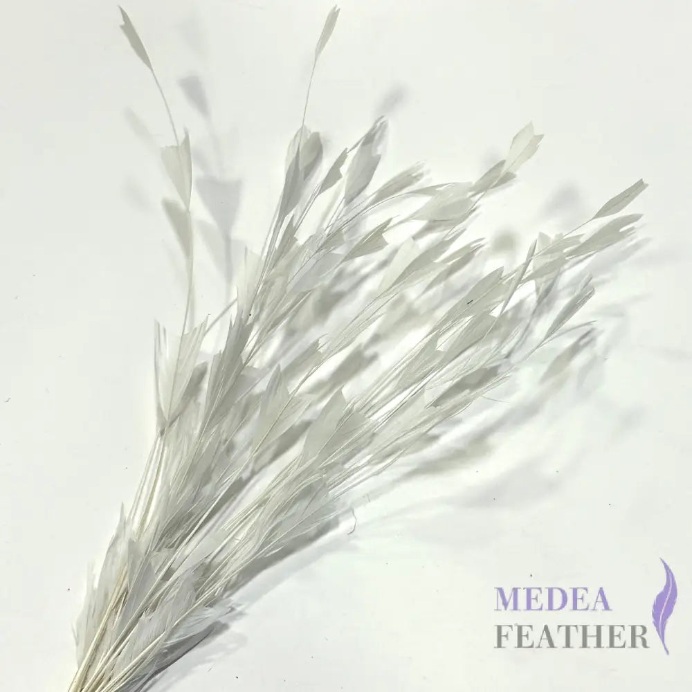 30cm Triangle Tipped Stripped Coque Feather 1 piece White
