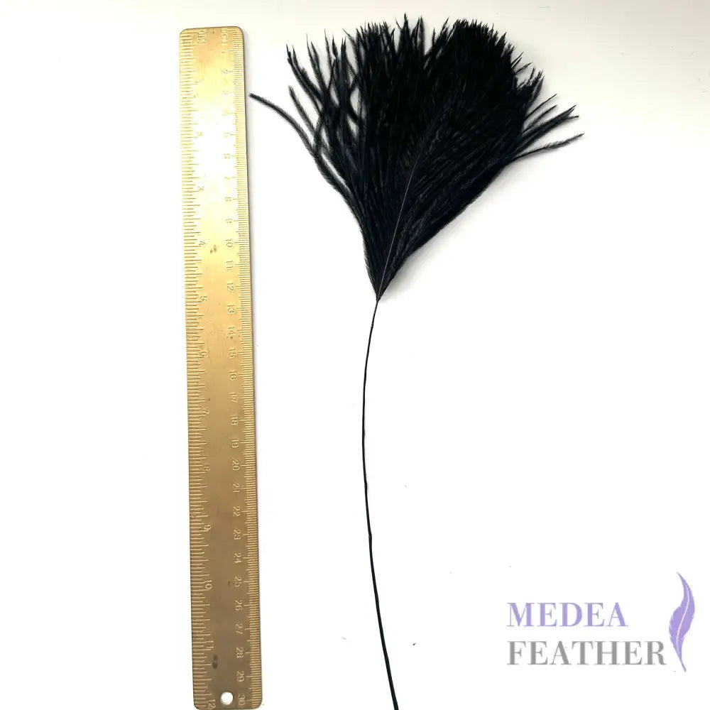 30cm Trimmed Ostrich Feather - Pack of 5