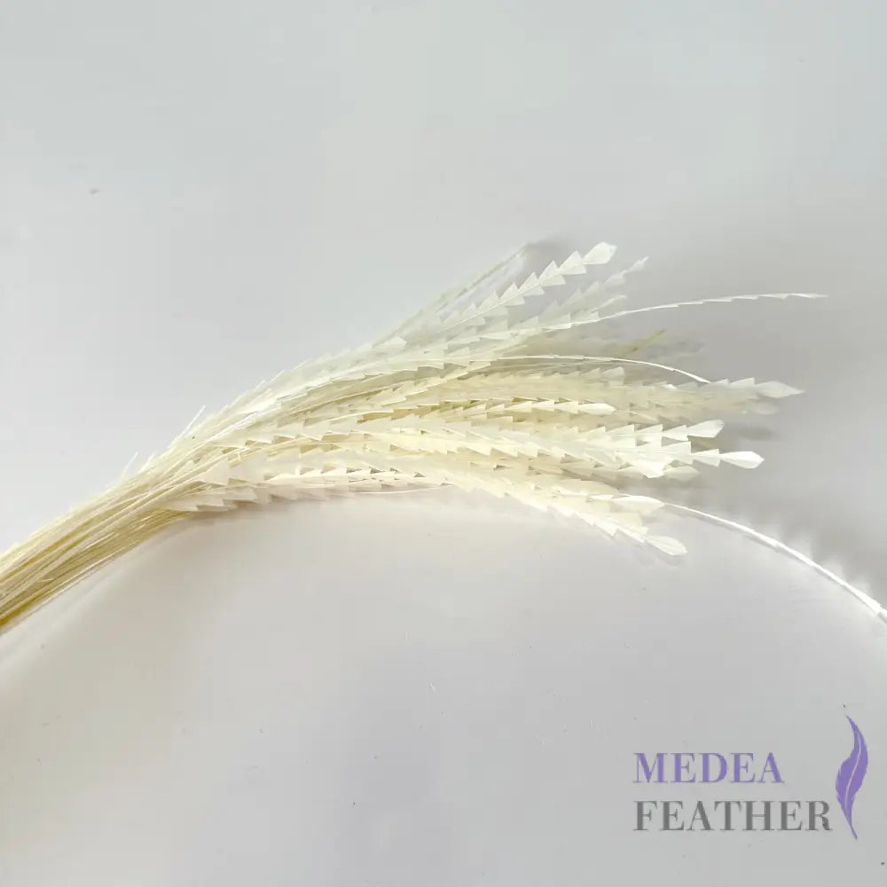30cm Zigzag Small Diamond Coque Feather-Pack of 10 Ivory