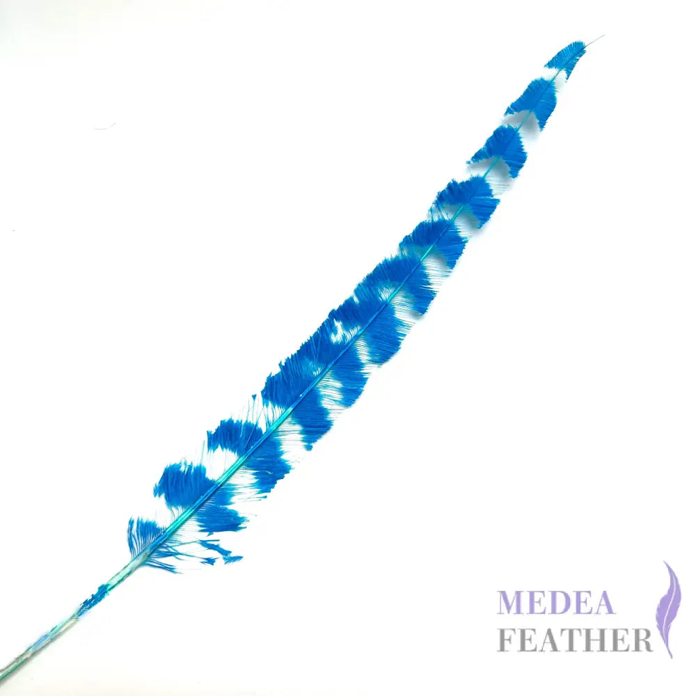 50cm Burnt Stripped Ostrich Feather #41 dark turquoise