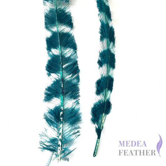 50cm Burnt Stripped Ostrich Feather SF017