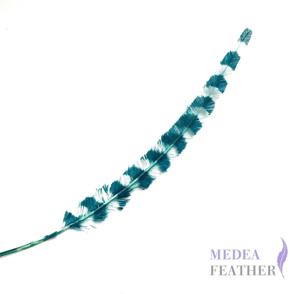 50cm Burnt Stripped Ostrich Feather #82 teal