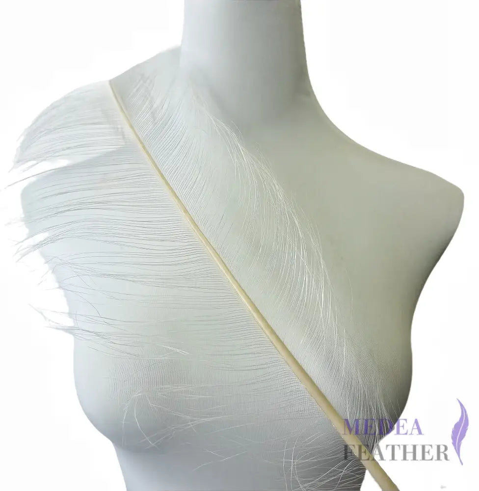 55cm Burnt Ostrich Feather Plume SF018
