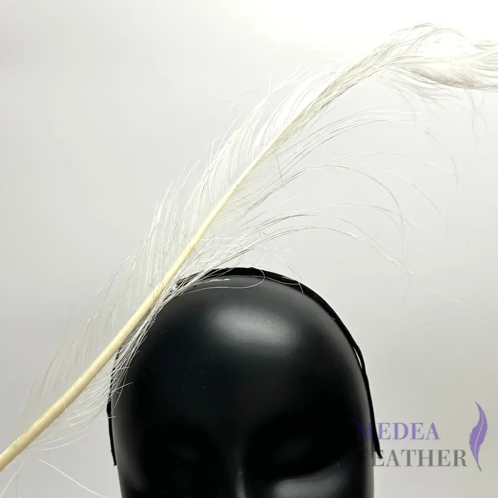 55cm Burnt Ostrich Feather Plume #01 Ivory