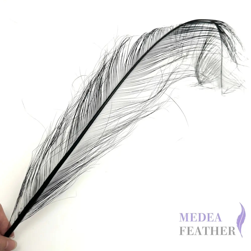 55cm Burnt Ostrich Feather Plume Black