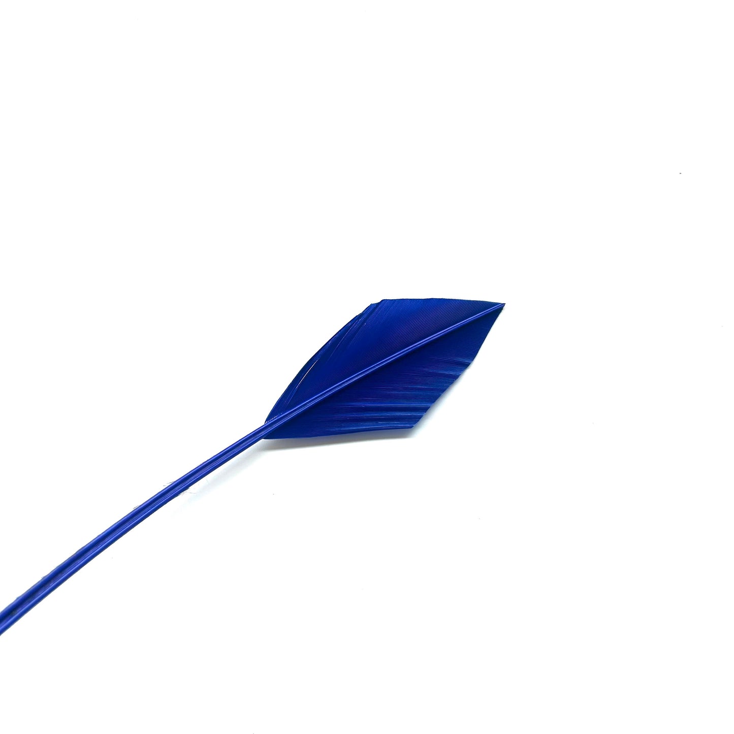 Arrowhead Turkey Quill Feather