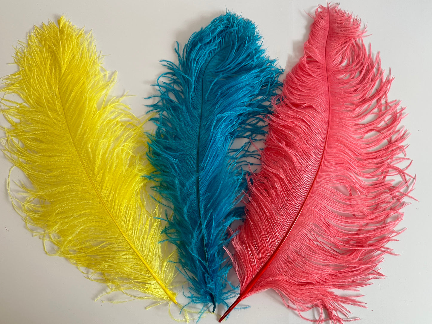 Ostrich Feather Plume 45-55cm