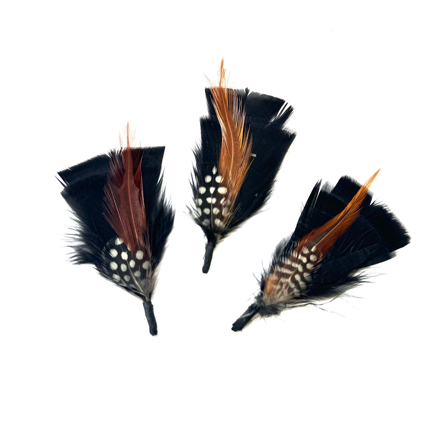 Small Black Country Style Feather Hat Mount