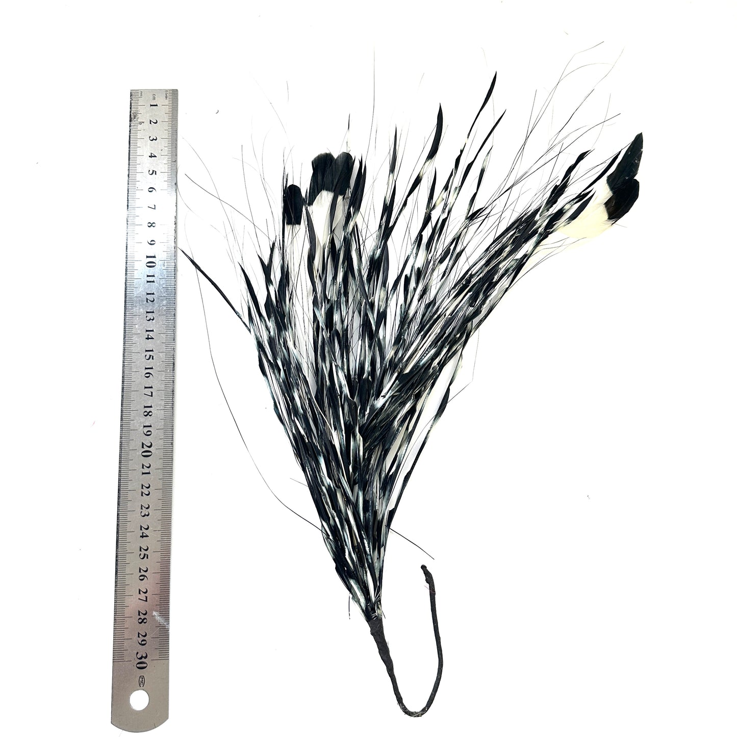 Long Gradient Goose Biot Feather Mount