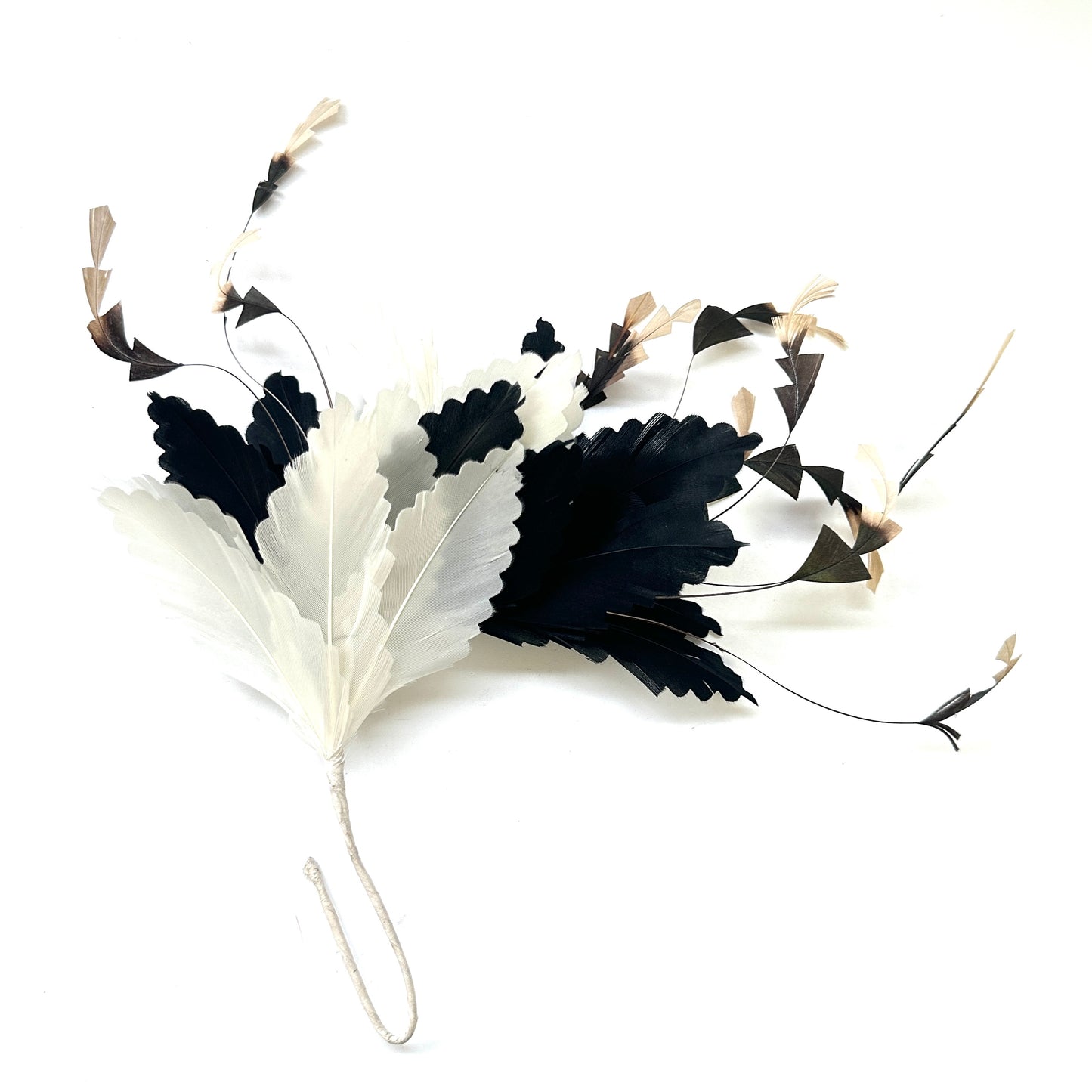 Gradient Goose & Coque Feather Mount