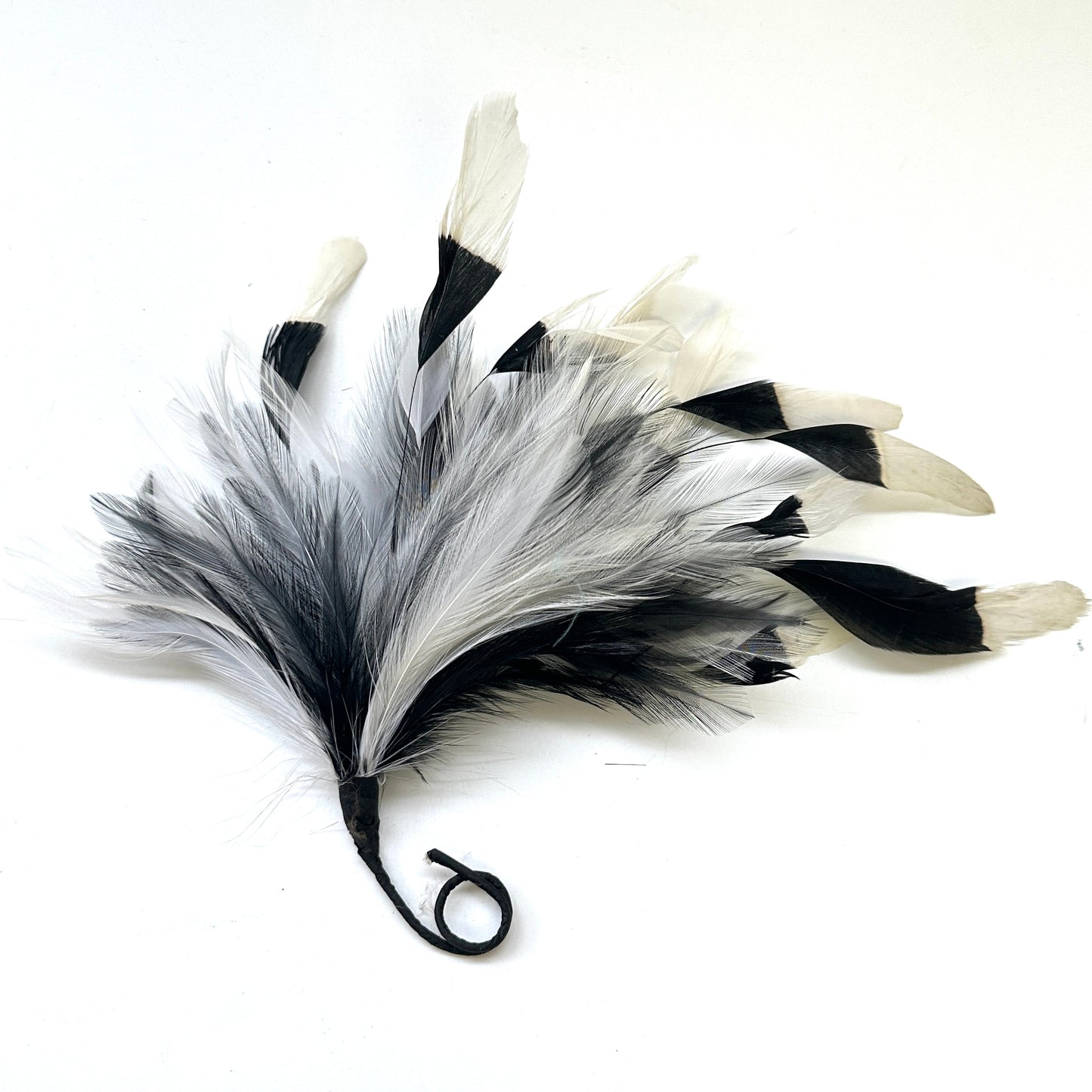 Gradient Goose & Hackle Feather Mount