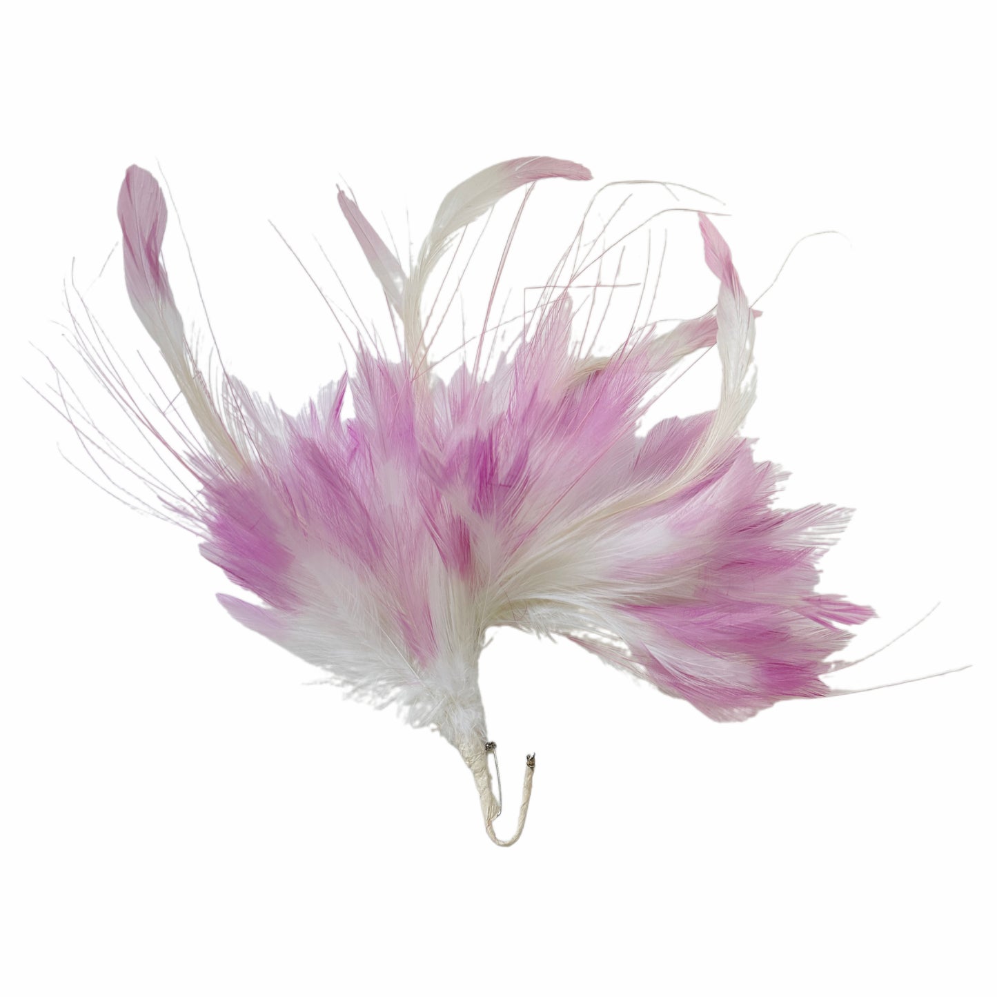 Gradient Pink Hackle Feather Mount