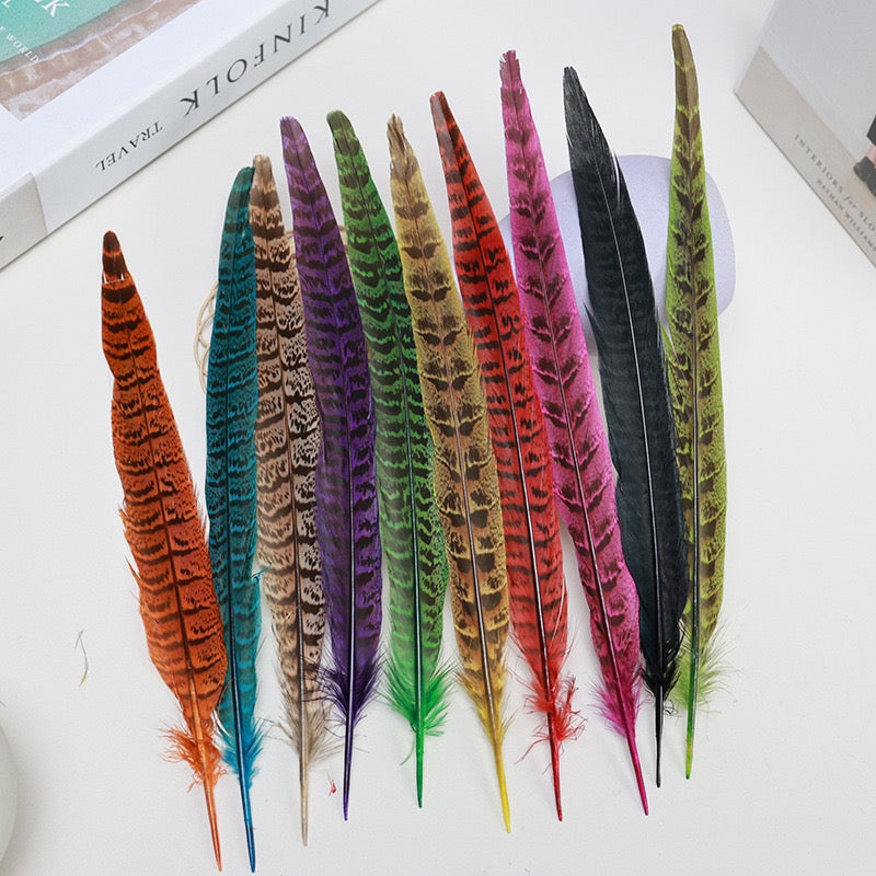 Female Ringneck Pheasant Tails-Pack of 10 SF020