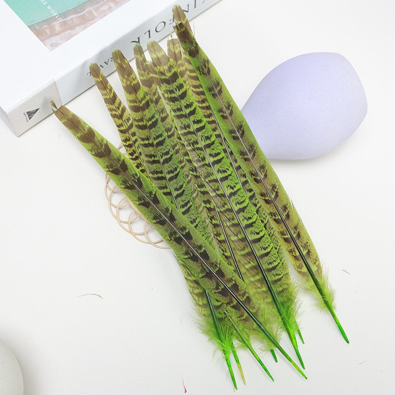 Female Ringneck Pheasant Tails-Pack of 10 SF020