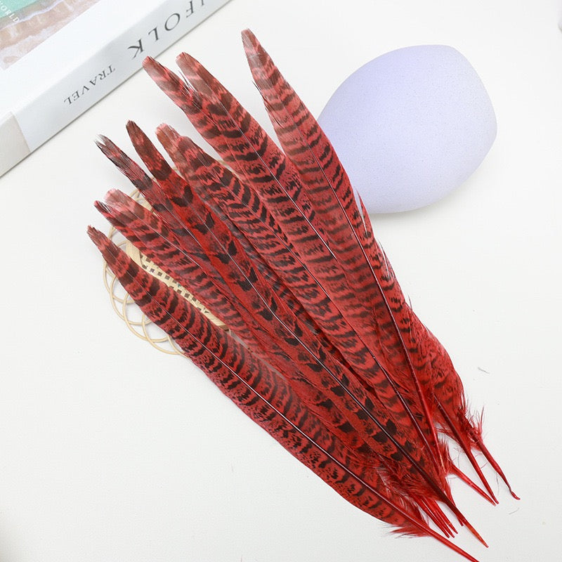 Female Ringneck Pheasant Tails-Pack of 10 SF020