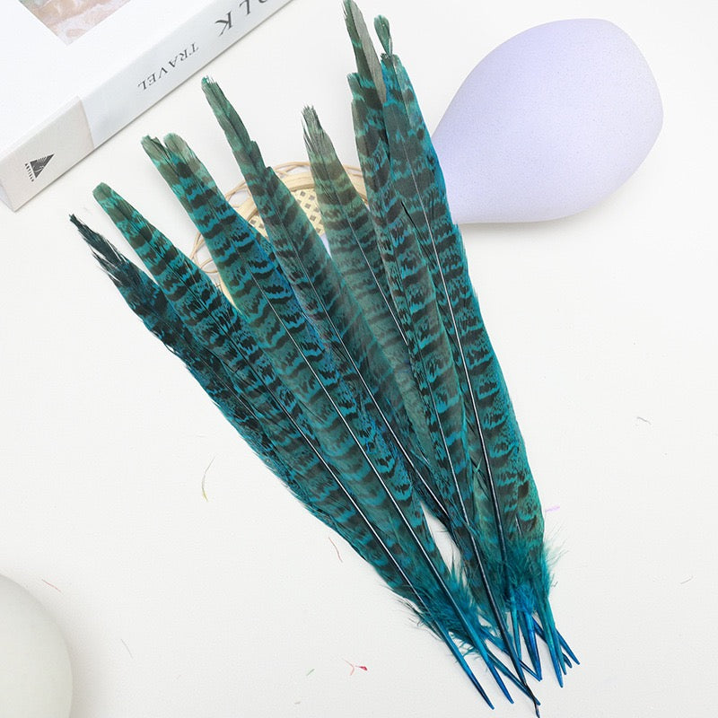 Female Ringneck Pheasant Tails-Pack of 10 SF020