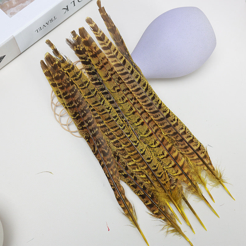 Female Ringneck Pheasant Tails-Pack of 10 SF020