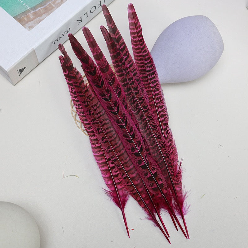 Female Ringneck Pheasant Tails-Pack of 10 SF020