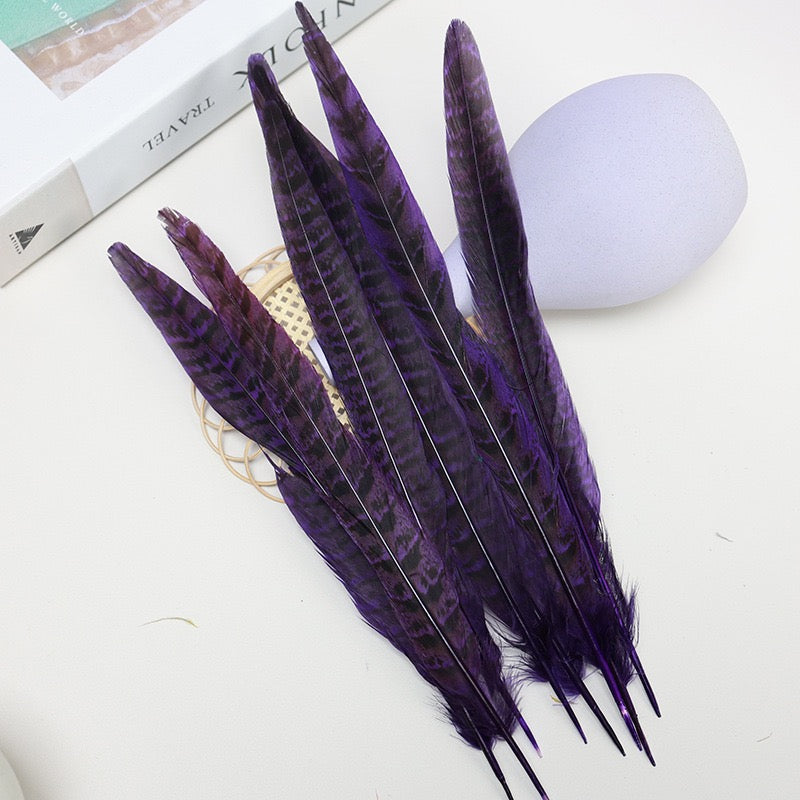 Female Ringneck Pheasant Tails-Pack of 10 SF020